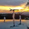 Bronze, stainless steel and dichroic glass dragonfly fountain on an infinity pool. 